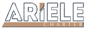 logo dark